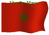 vive maroc   chokri